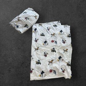 Pottery Barn Kids Batman & Robin Twin Sheet Set Multicolor Superhero